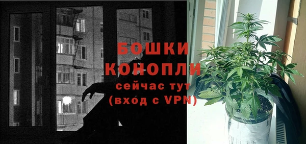 СК Михайлов