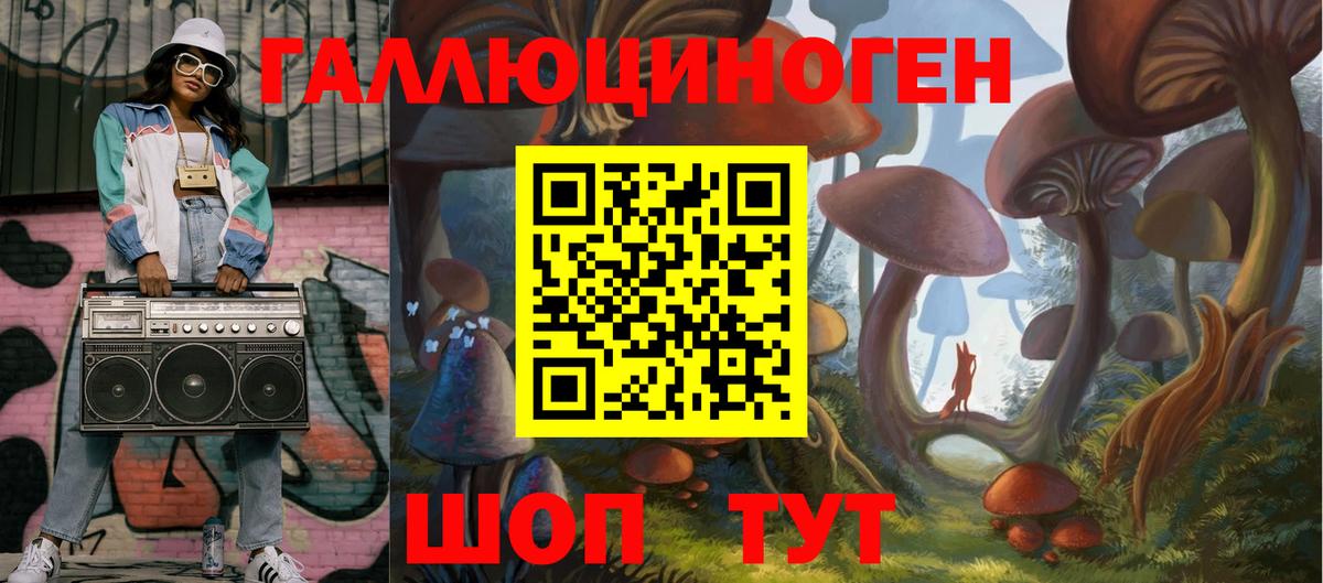 Псилоцибиновые грибы MAGIC MUSHROOMS  Вход с VPN  Протвино 