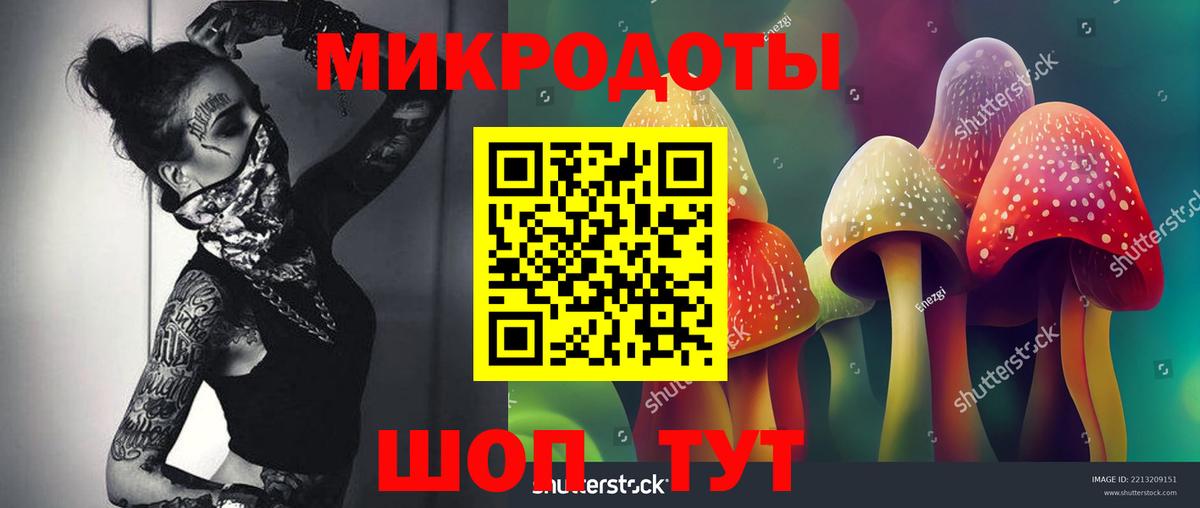 Галлюциногенные грибы Magic Shrooms Протвино